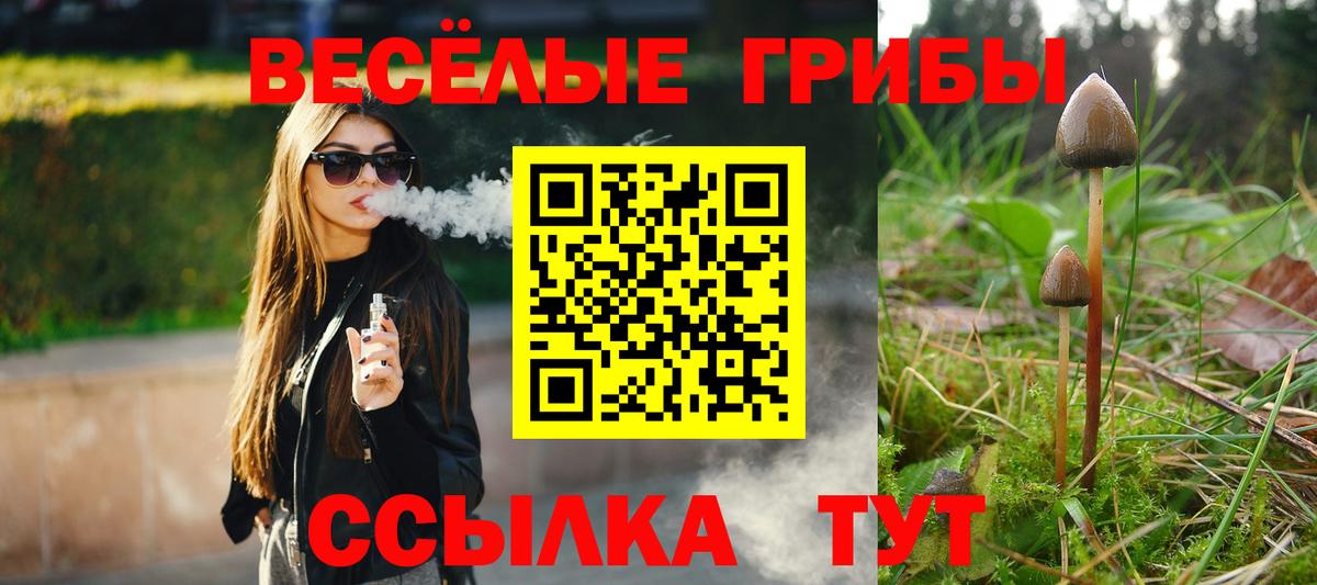 Альфа ПВП Кимры